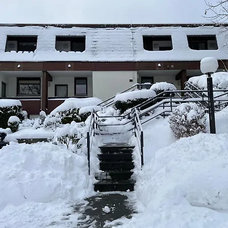 Lägenhet Osternest - Gemuetlich, Familienfreundlich, Pool, Sauna, Elektrokamin, Wlan Nahe Dem Skiliftkarussell Winterberg