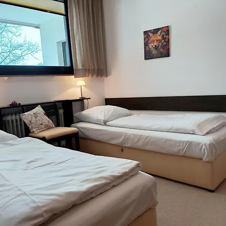 Osternest - Gemuetlich, Familienfreundlich, Pool, Sauna, Elektrokamin, Wlan Nahe Dem Skiliftkarussell Appartement *